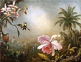 Martin Johnson Heade Orchids Nesting Hummingbirds and a Butterfly painting
